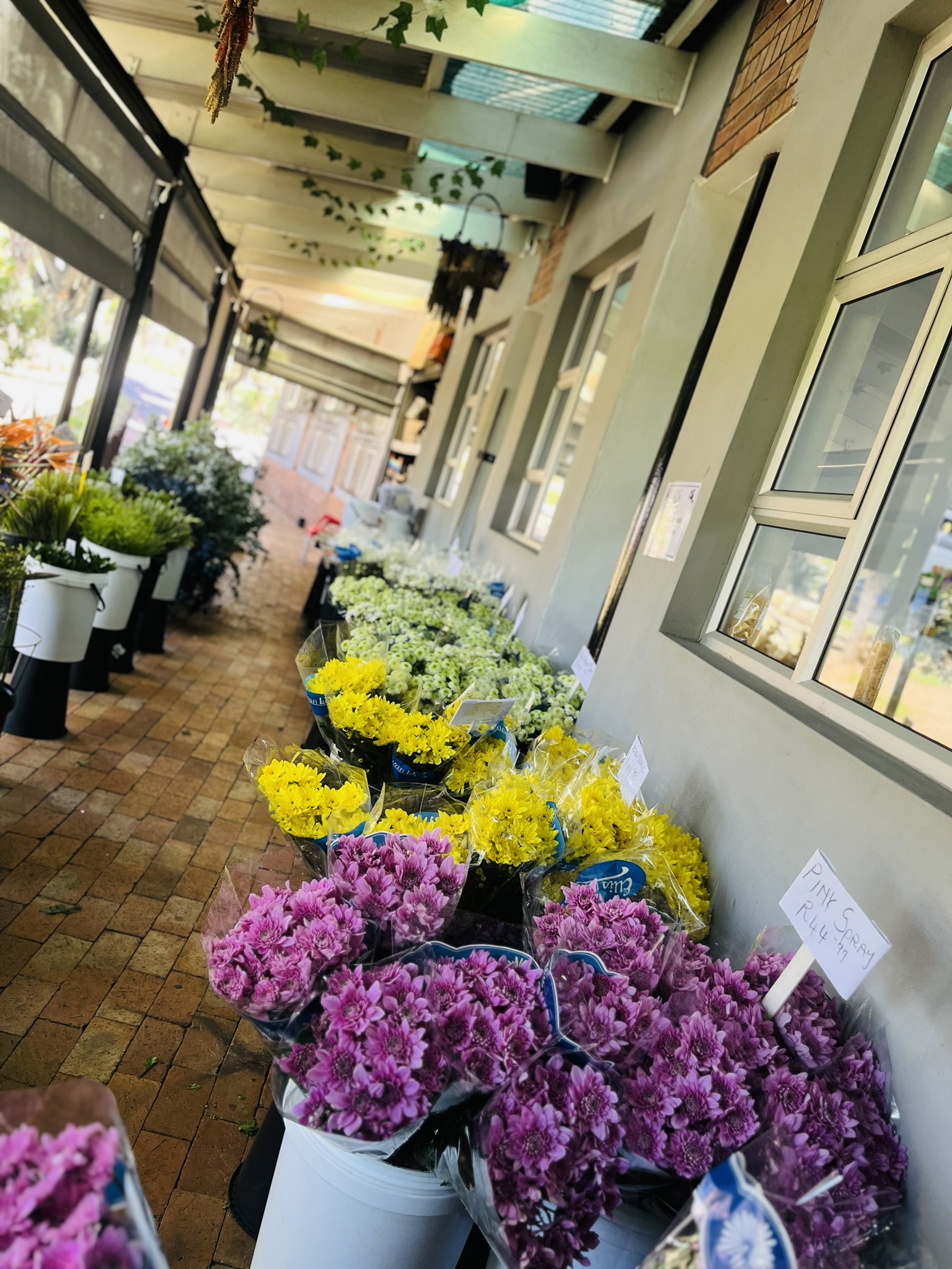 Flowers Wholesale